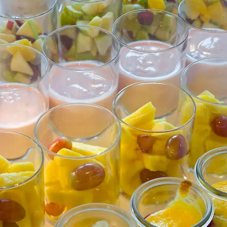 Swiss Alpine Allalin Hotel