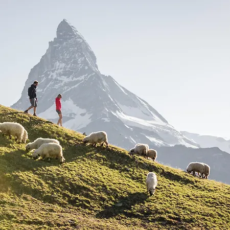 Swiss Alpine Allalin Hotel