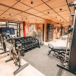سويس ألبين ألالين 4* زيرمات